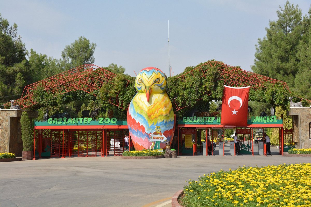 Gaziantep Hayvanat Bahçesi Turu